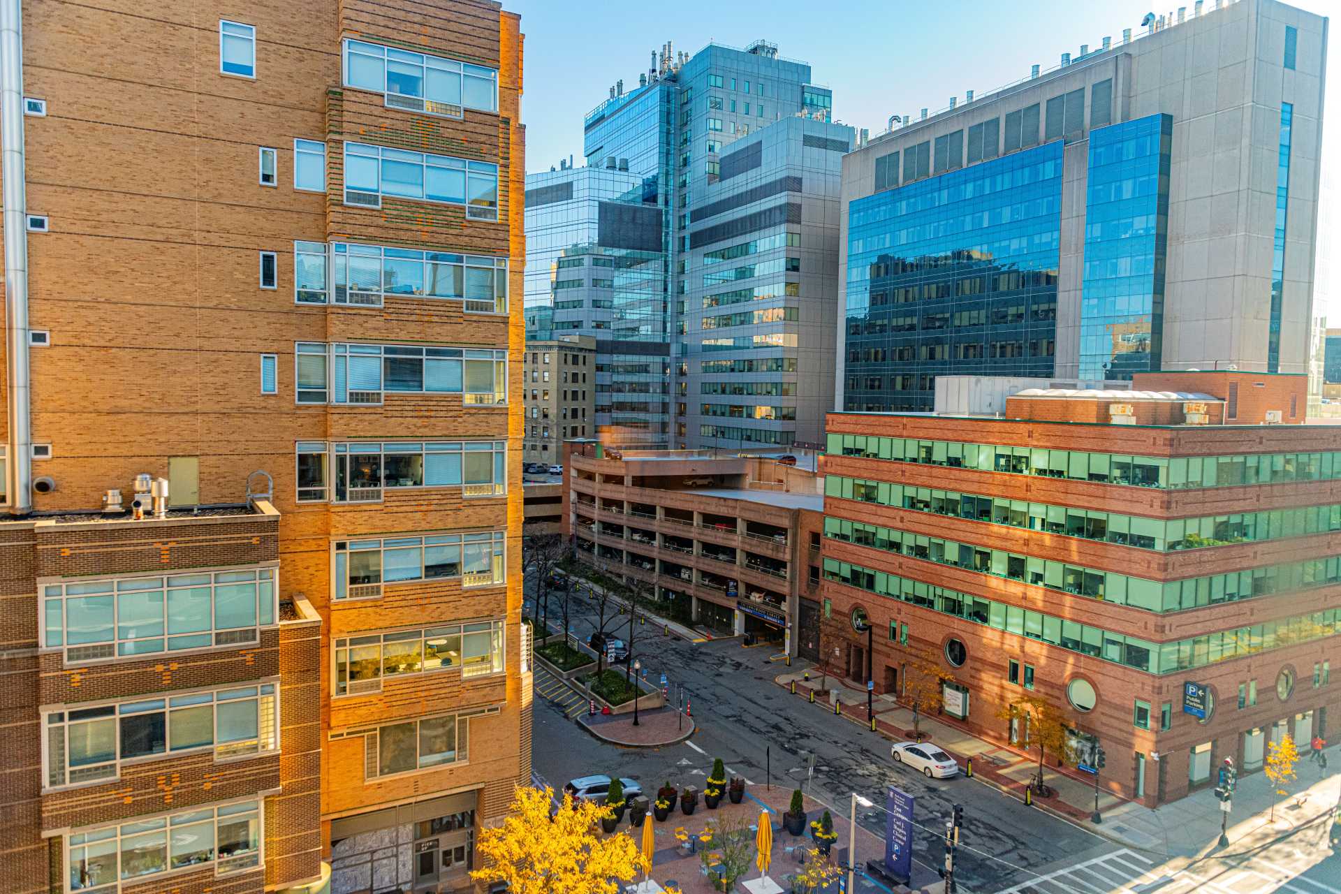 View of the Longwood Medical Area from the guest room